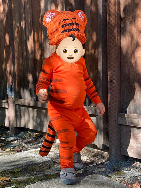 DIY Tiger Costume